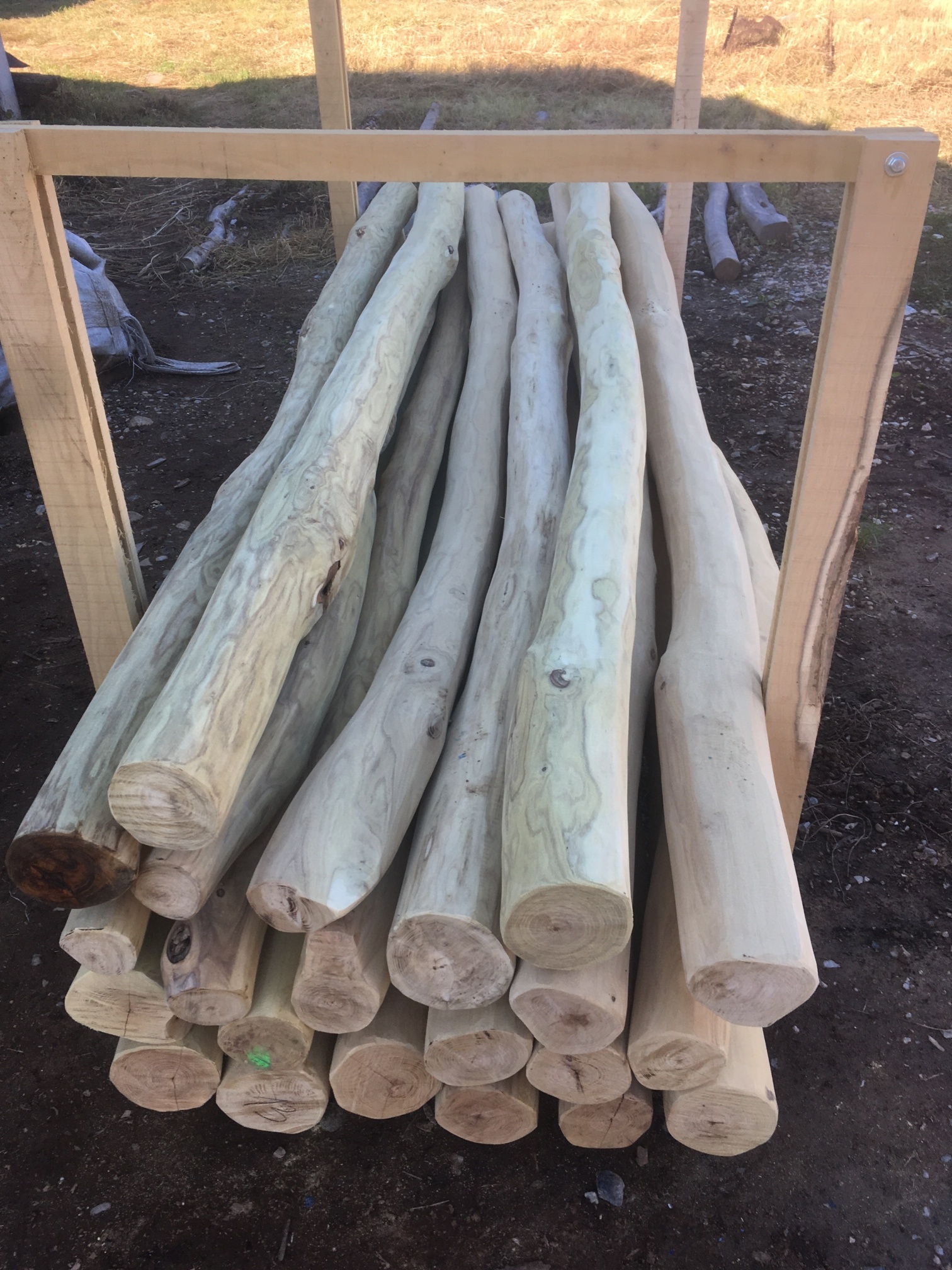 robiniapseudoacacia wood logs